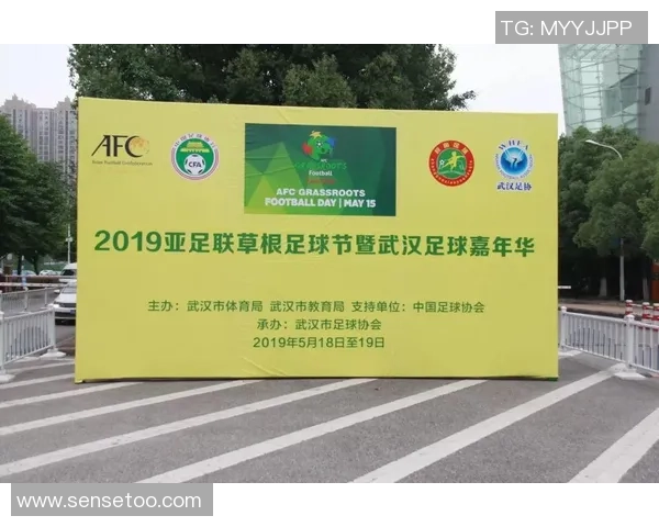 武汉足球队运营策略深度分析与发展前景展望