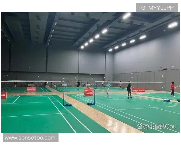 深圳羽毛球队整体压制现象解析及其对羽毛球发展的影响 深圳羽毛球队整体压制现象解析及其对羽毛球发展的影响